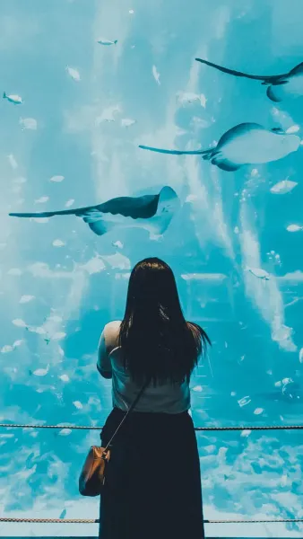 Biglietti Acquario di Genova