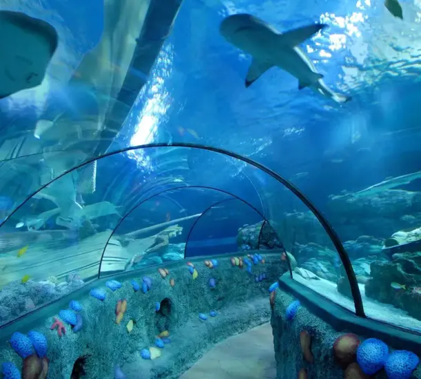 Gardaland Sea Life Aquarium