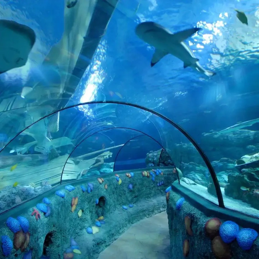 Gardaland Park Sea Life Aquarium
