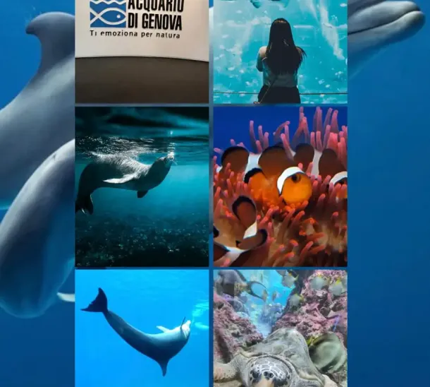 Acquario di Genova Biglietto
