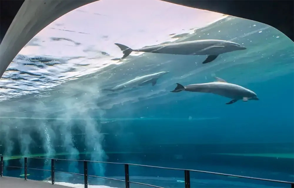 Genova Acquario