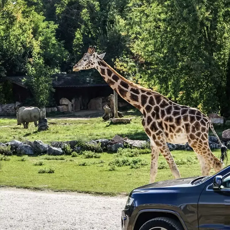Scopri il Parco Natura Viva: Un’Avventura Incredibile nel Cuore della Natura!